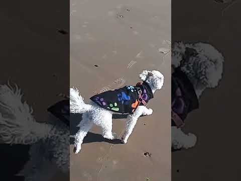 Playa Costa Azul la paloma Rocha uruguay con la Umita
