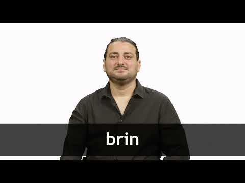 How to pronounce BRIN in French
