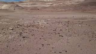 URC2023 Extreme Delivery Mission - Rock Garden Preview