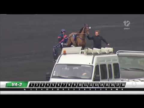 Prix d'Amérique 2017, Bold Eagle
