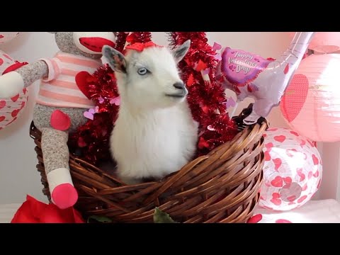 Große romantische Gesten