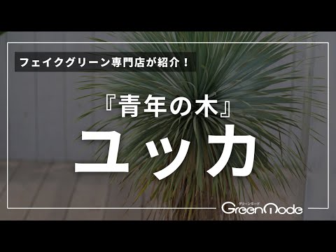 メンテナンス ユッカ 外装型 土 砂 粘土 水はけ良好