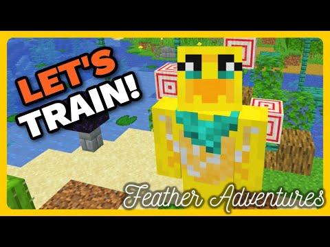 Feather Adventures : LITTLE TRAINING SPACE - {354}