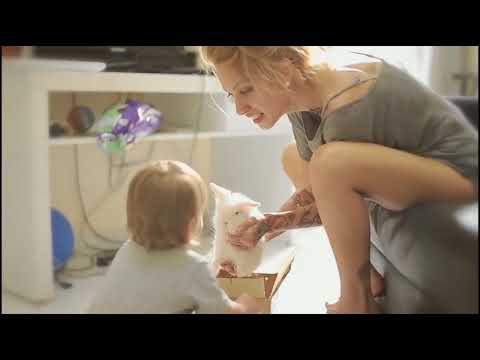 Thomie Blue - 93 Milion Miles