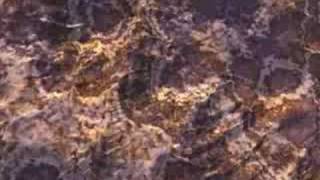 ERGO/Physical Conditions -- Vision AT