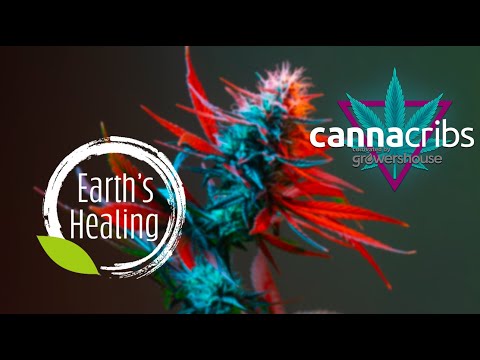 Earths Healing