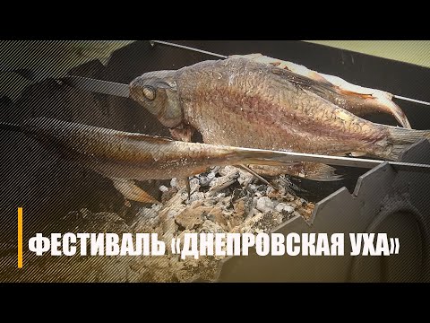 Фестиваль "Днепровская уха" прошел в Лоевском районе видео