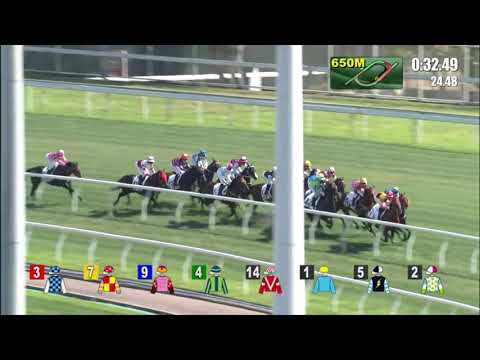 3/4/2022 (551) Sakewin - J Moreira (Debut win!)