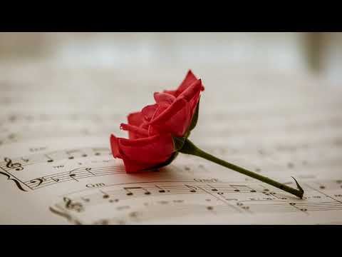 Drenched in Love 2024 New Song