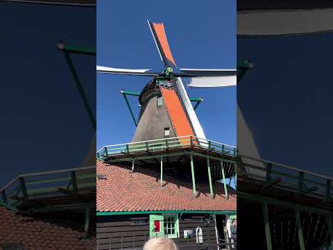 Windmill Magic in Zaandam 🇳🇱#travel #holland #indian #usatravelvlog #indiantraveler #traveling