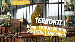 Download lagu TERBUKTI AMPUH ❗ Kenari PAUD PASTI Ikut Bunyi | Suara Pancingan KENARI PAUD Belajar BUNYI Ngeriwik mp3