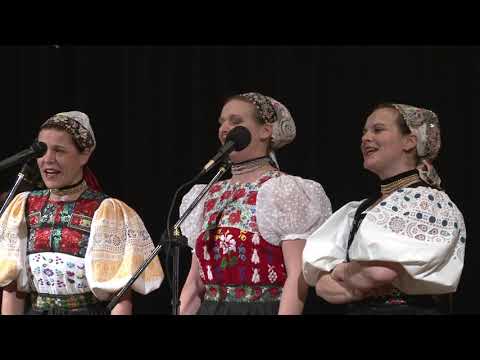 ĽH Ďatelinka - oslava 40.výročia - Trebeľovce 20.1.2012