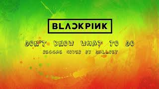 Download lagu Blackpink - Don't Know What To Do | Reggae Cover by Dalloey mp3 Download lagu Blackpink - Don't Know What To Do | Reggae Cover by Dalloey mp3