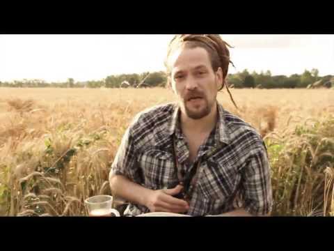 "CANNABIS POSITIV" YOUNG LION