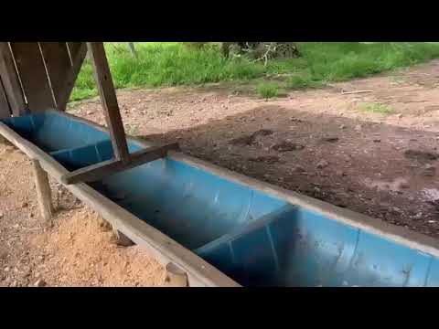 Fazenda Chagry-lá - Fazenda Nova - GO