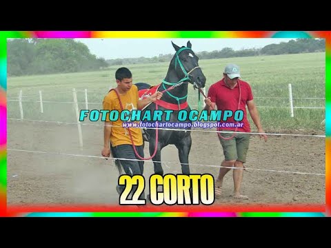 22 SHORT General Pinedo Chaco 29 09 2024