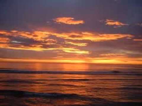 Alex Kenji & Federico Scavo vs Jerry Ropero & Denis The Menace - The Funk Is Fuck U ( Fox Mashup )