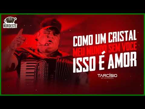TARCÍSIO DO ACORDEON - Como Um Cristal / Meu Mundo Sem Você / Isso É Amor