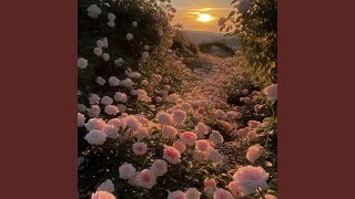 Flower Petals Falling