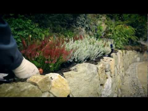 Cogliere la tranquillità