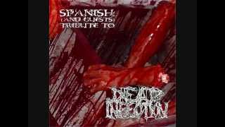 DEADLY NOISE CREW - Tribe of the Glutinous Tissue (Dead Infection Cover)