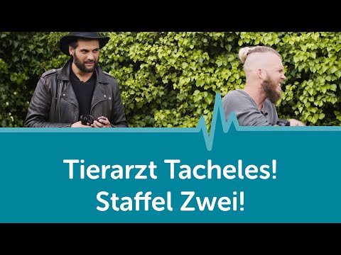 Es geht weiter! | Tierarzt Tacheles mit Sebastian Goßmann-Jonigkeit