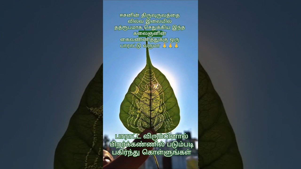 வில்வ இலையில் காட்சியளித்த ஈசனின் திருவுருவம் 🙏 #viral #shorts #trendingshorts #god #share #youtube