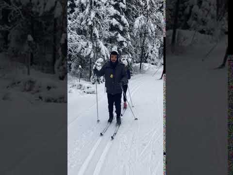How to Cross Country Ski (Very Well)