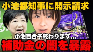 小池百合子の税金無駄づかいを暴露!開示請求で明かされたヤバすぎる補助金先【さとうさおり/小池都知事/減税】