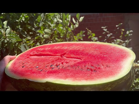 Watermelon instead of medicine: These are all the amazing healing properties of watermelon!
