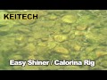 Keitech Easy Shiner 2 Gummifische 2 - 5,4cm - 1g - Golden Shiner - 12Stück