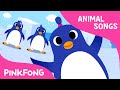 The Penguin Dance Animal Songs PINKFONG Songs For Children