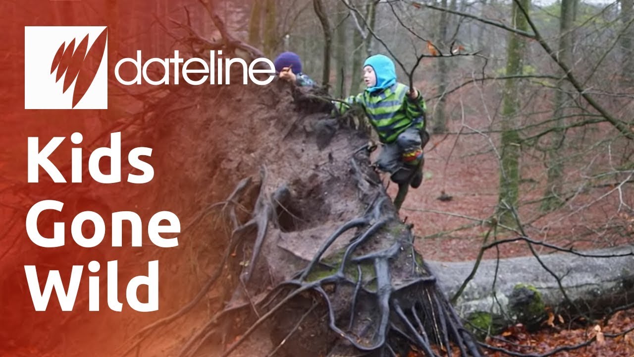 Denmark's Forest Kindergartens