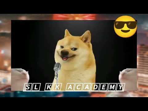 ⏺️@Mimi Dog🏳 | YouTube Live | Music Video.