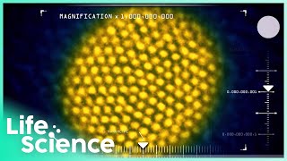 5-Second Photon Delay: MAGIC Telescope's Glimpse of Spacetime Foam