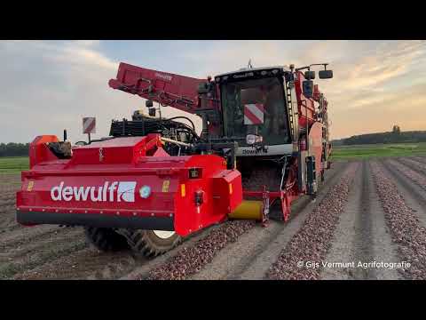 New Dewulf RA 3060 !! // Fendt // Miedema // Onions