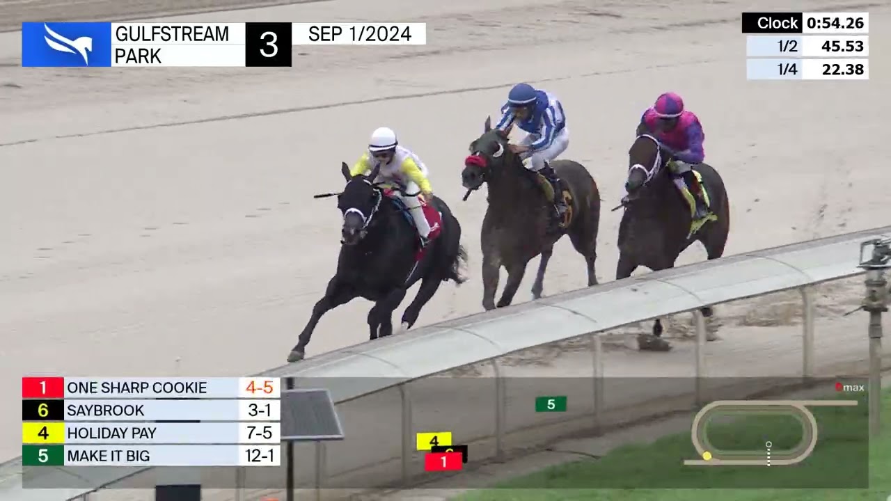 Gulfstream Park Replay Show | September 1, 2024