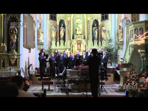 Božični koncert 2013