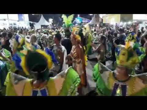 Bloco sapo 2019 Bi campeã