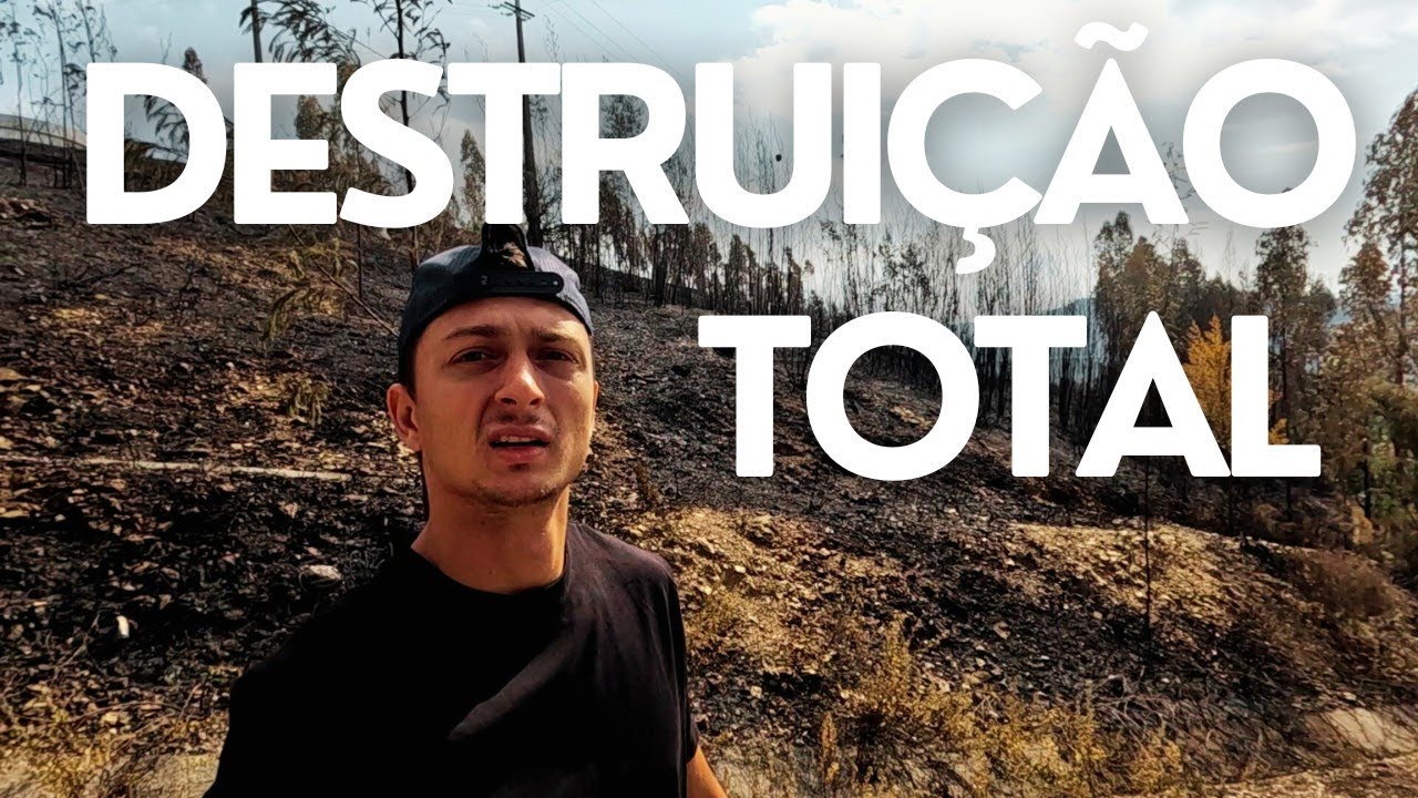 Queimadas em Portugal: Destruição, Reflexões e Lições