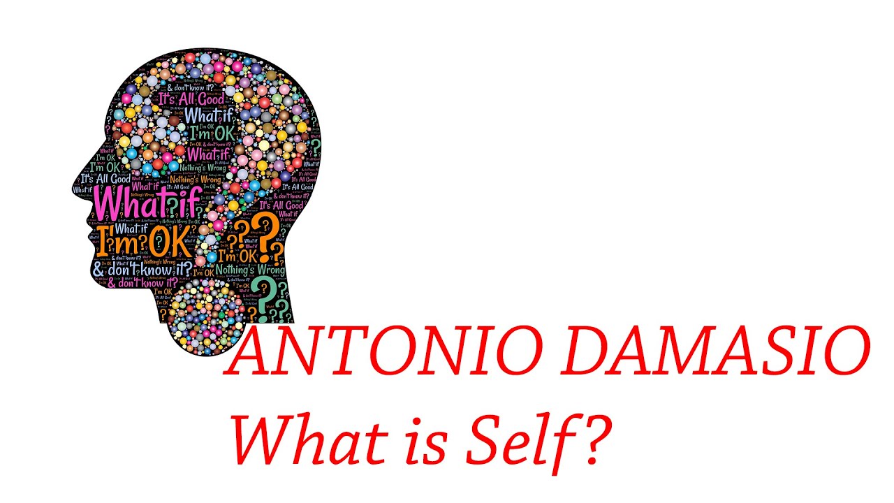 ANTONIO DAMASIO what is the Self?