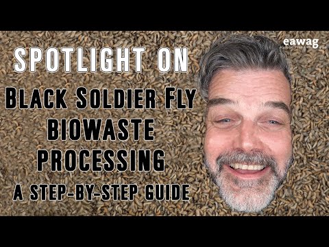 Spotlight Video - Black Soldier Fly Biowaste Processing