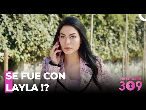 La Crisis De Celos De Lale - Habitación 309