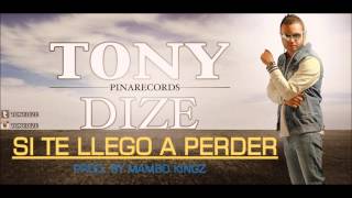 Si Te Llego A Perder (Official Preview) - Tony Dize
