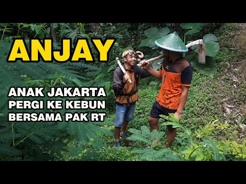 film-pendek-lucu-anak-jakarta-dan-pak-rt-berkebun-tutorial-berkebun