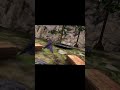 The Newest Gorilla Tag Glitch For The New Update Editor Glitch Gorillatag