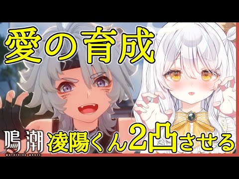 【鳴潮 / Wuthering Waves♯8】ソラ旅立ちの祝典🔰大好きな凌陽くんの2凸を目指す.ᐟ【推使みゅな/新人Vtuber/まほろば】