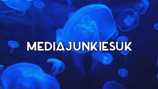 LUCKI - Starstruck  [ prod. @cortdot ]