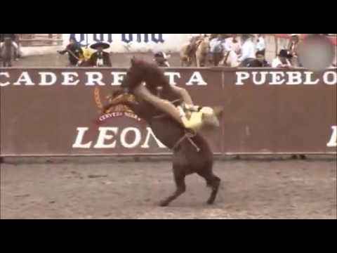 Los mejores jinetes de yegua.