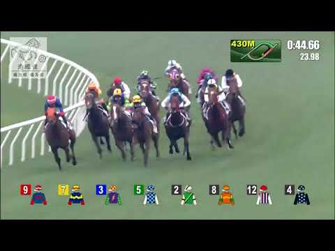 港經佬賽事重溫(476)｜06-03-2022 沙田日馬第五場賽事重溫｜聚風雲 SMILING COLLECTOR (G128)｜楊明綸 M L Yeung｜丁冠豪 K HTing｜免費心水及賽馬貼士